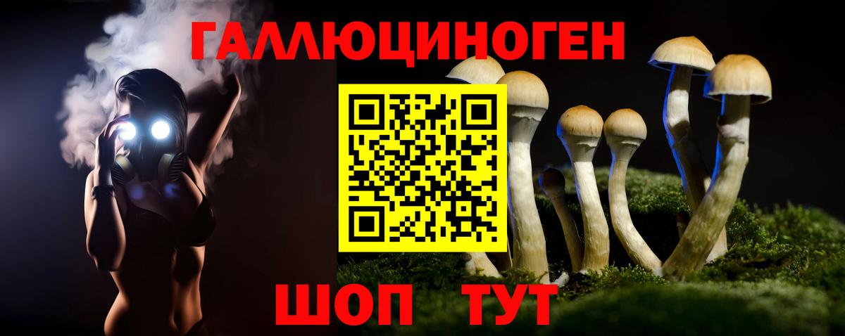 Донской  Псилоцибиновые грибы ЛСД  купить закладку  Вход с VPN  Галлюциногенные грибы Cubensis 